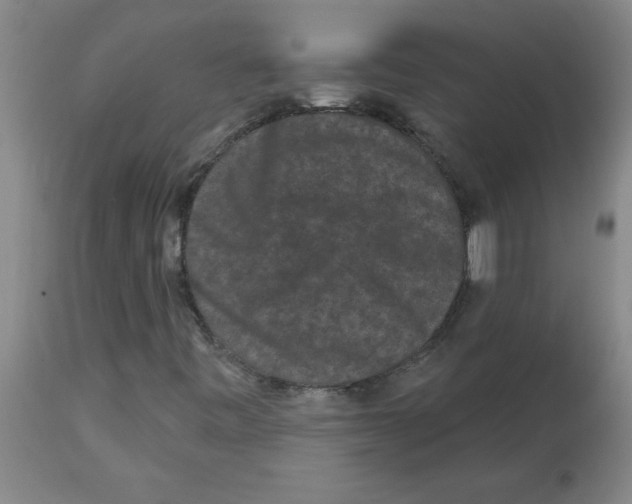 X0000112861443200909181749