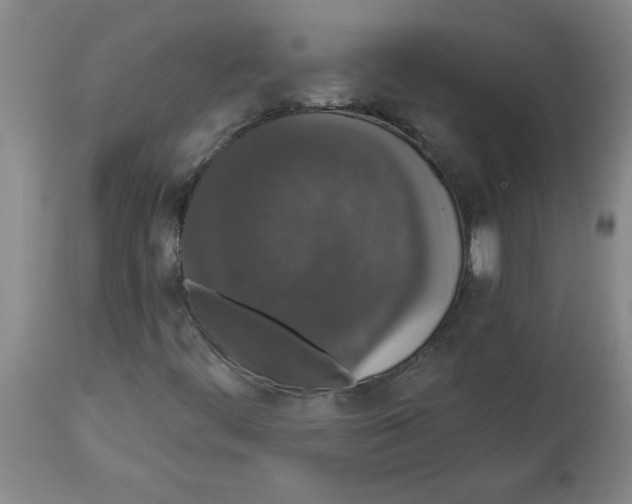 X0000112861444200909181749