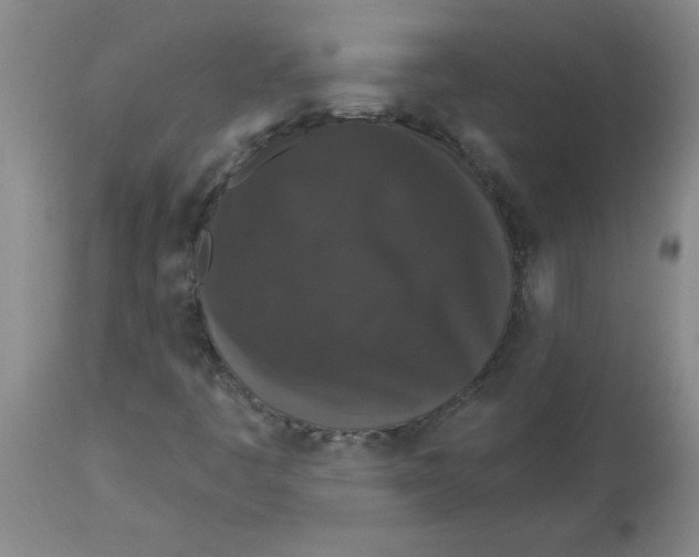 X0000112861445200909181749