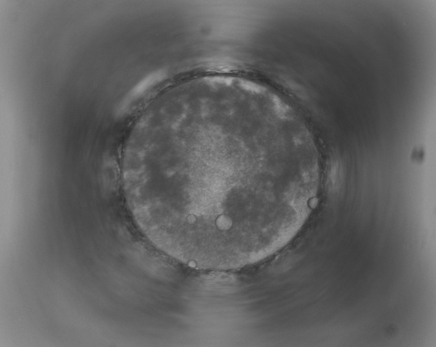 X0000112861446200909181749