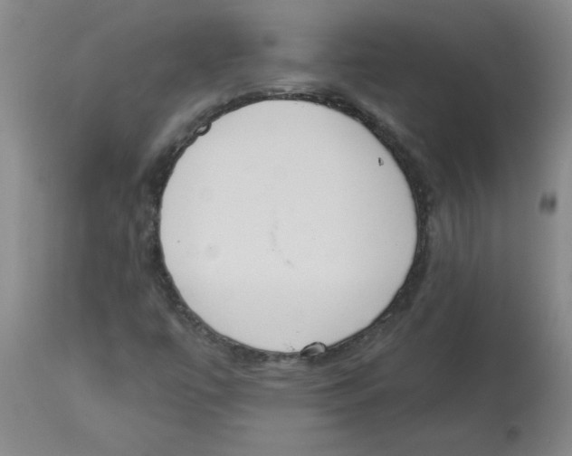 X0000112861447200909181749