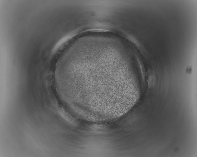 X0000112861448200909181749