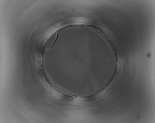 X0000112861449200909181749