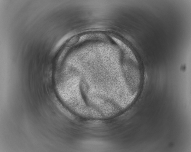 X0000112861450200909181749