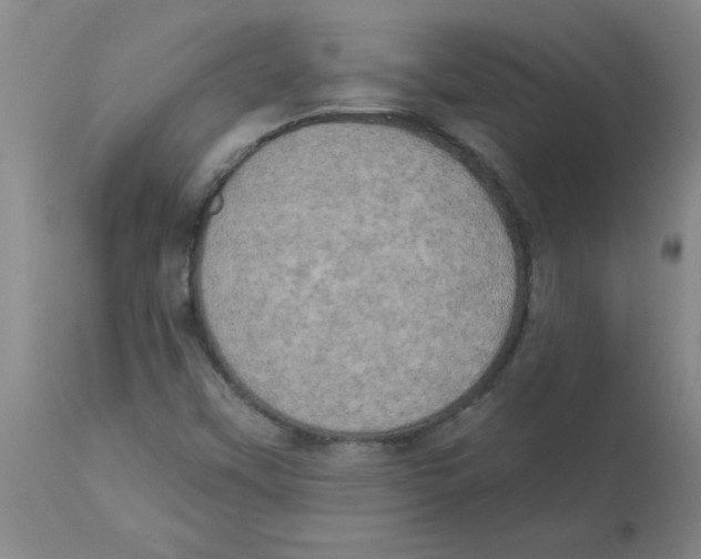 X0000112861451200909181749