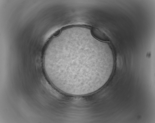 X0000112861452200909181749