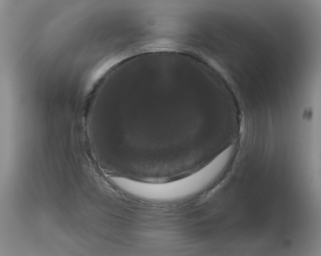 X0000112861453200909181749