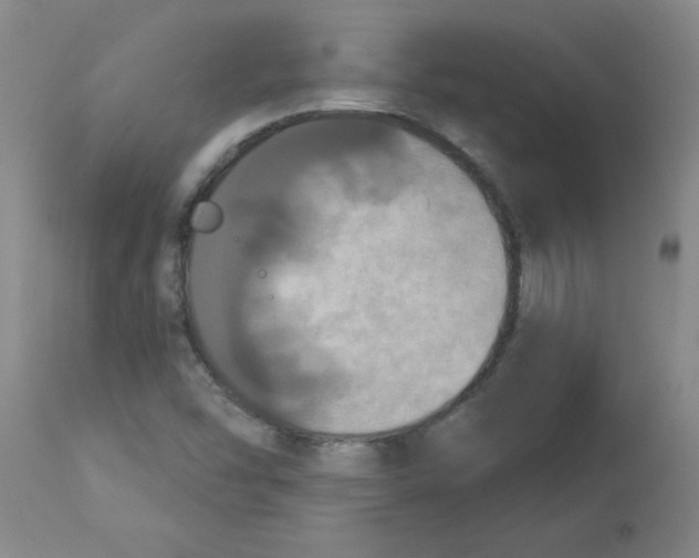 X0000112861454200909181749