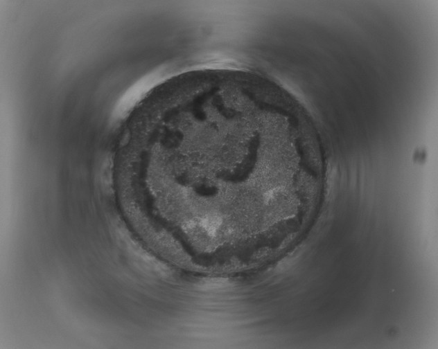 X0000112861455200909181749