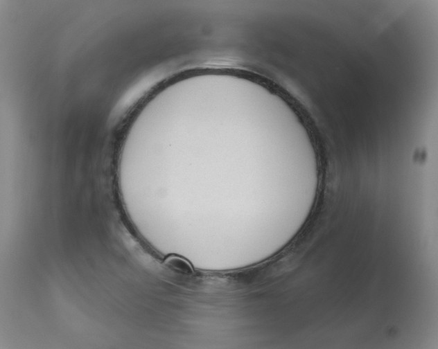 X0000112861456200909181749