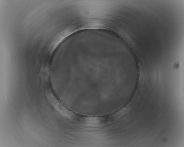 X0000112861457200909181749