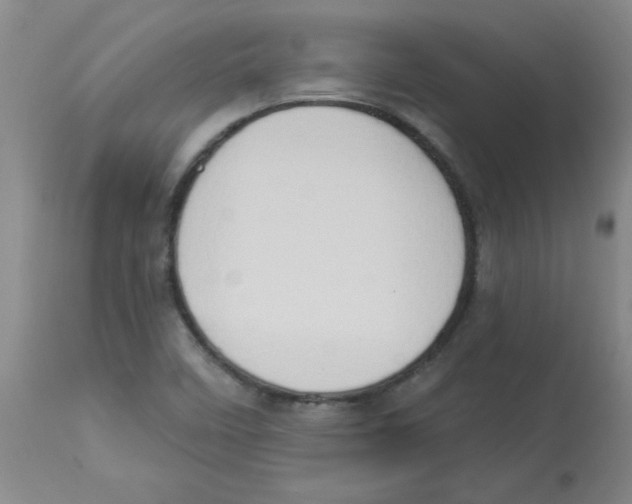 X0000112861458200909181749