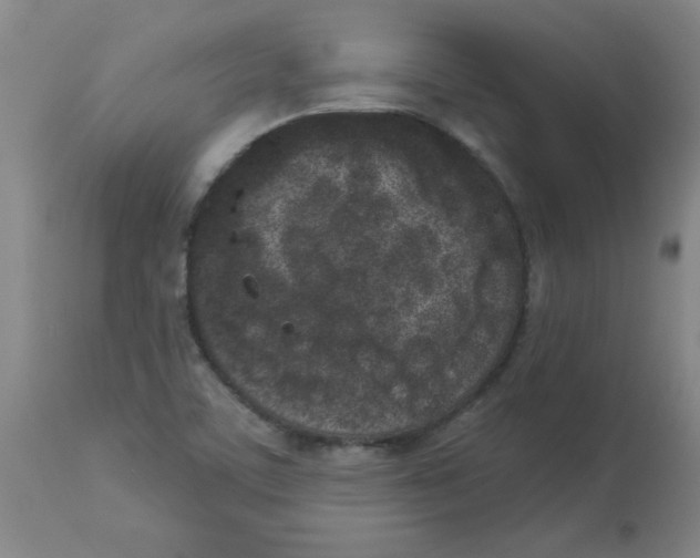 X0000112861459200909181749