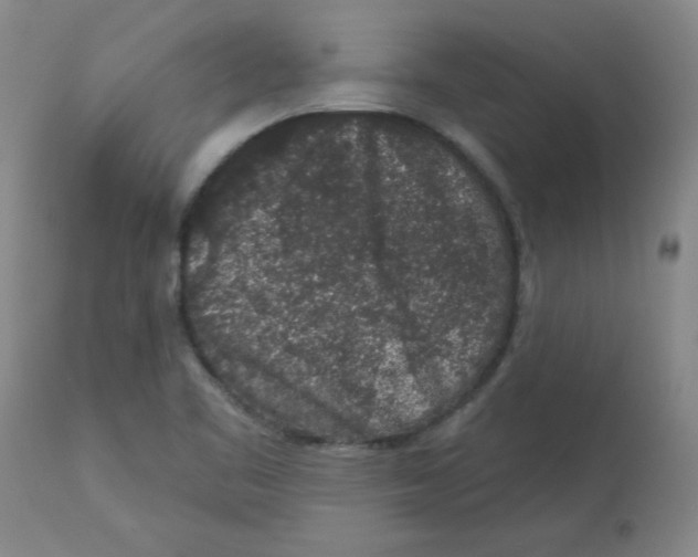 X0000112861461200909181749