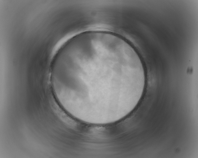 X0000112861462200909181749