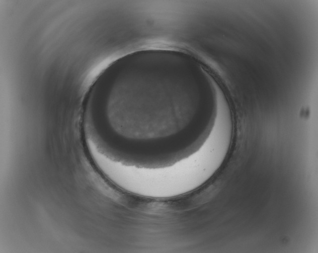 X0000112861463200909181749