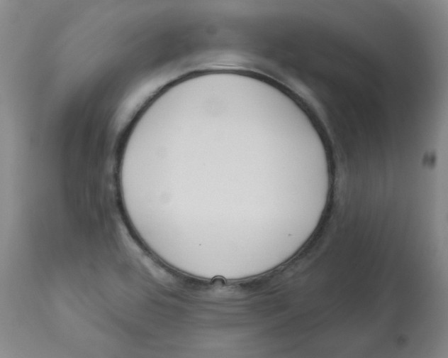 X0000112861464200909181749