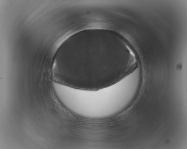 X0000112861465200909181749