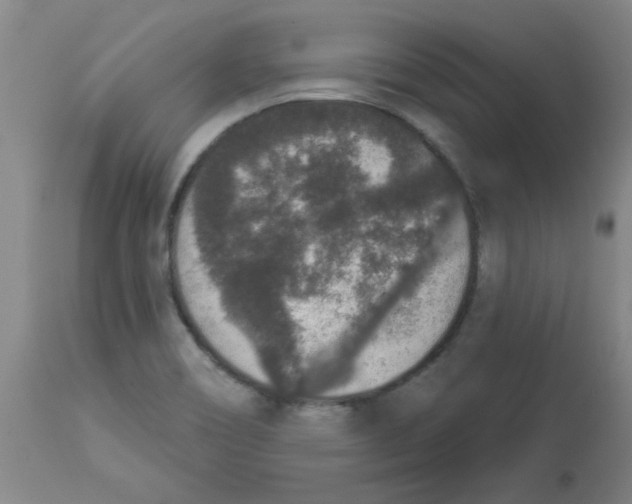 X0000112861466200909181749