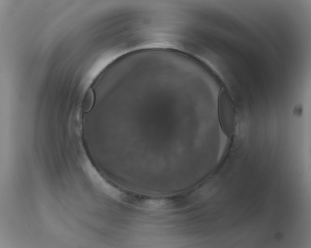 X0000112861468200909181749