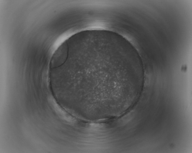 X0000112861469200909181749