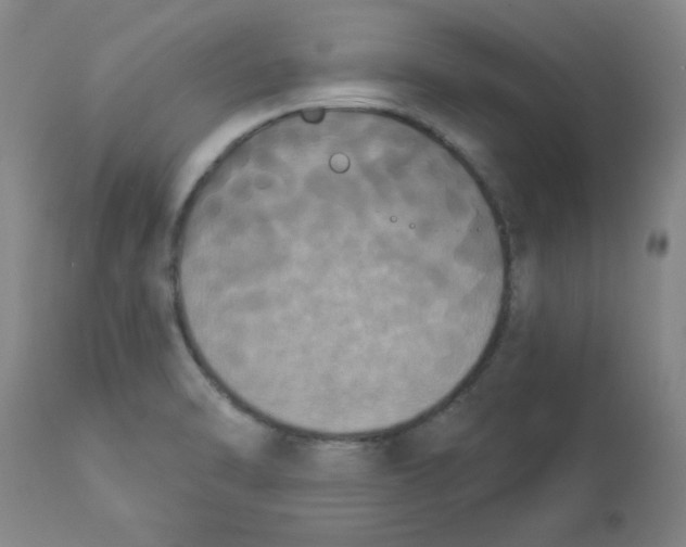 X0000112861470200909181748