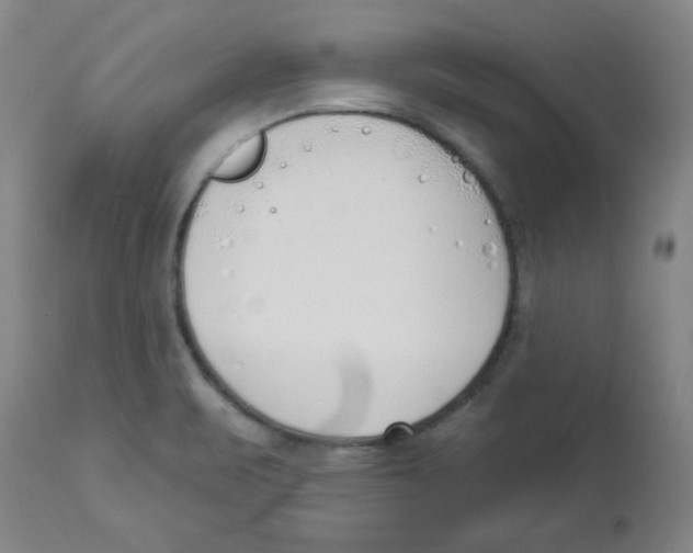 X0000112861471200909181748