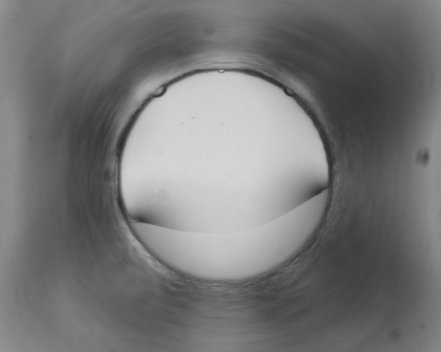 X0000112861472200909181748