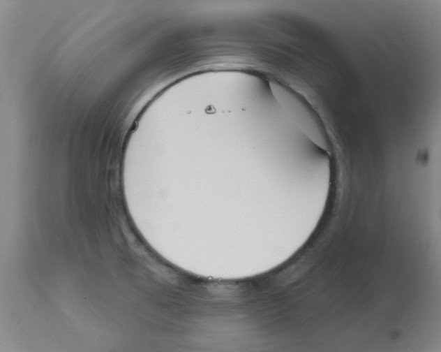 X0000112861473200909181748