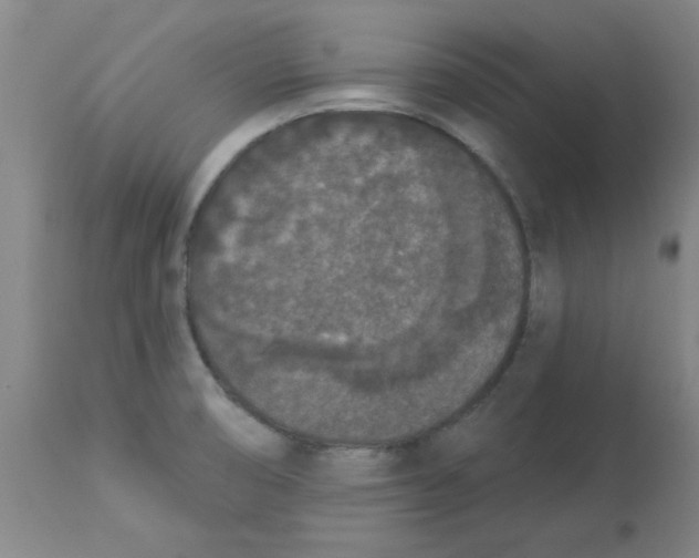 X0000112861474200909181748