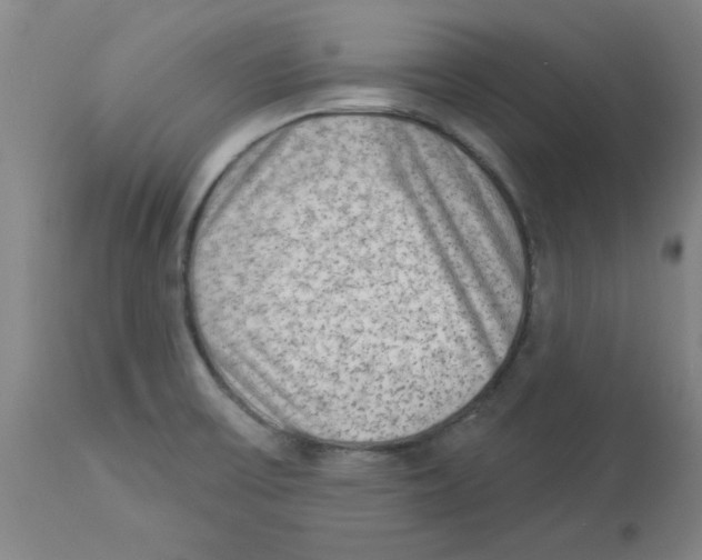 X0000112861475200909181748