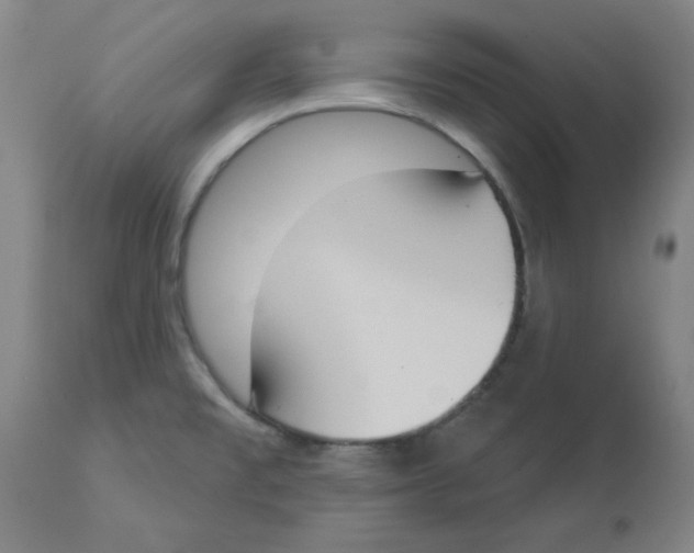 X0000112861477200909181748