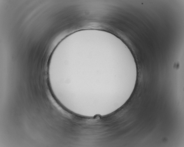 X0000112861479200909181748