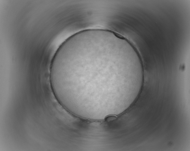 X0000112861480200909181748