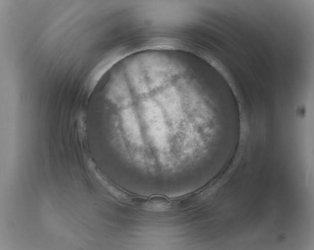 X0000112861481200909181748