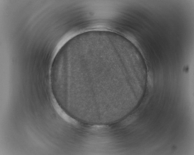 X0000112861482200909181748