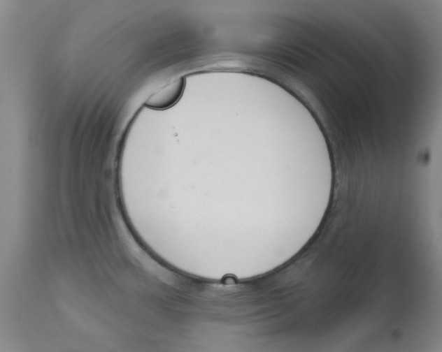 X0000112861483200909181748