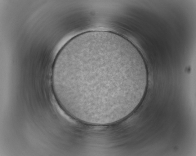 X0000112861484200909181748