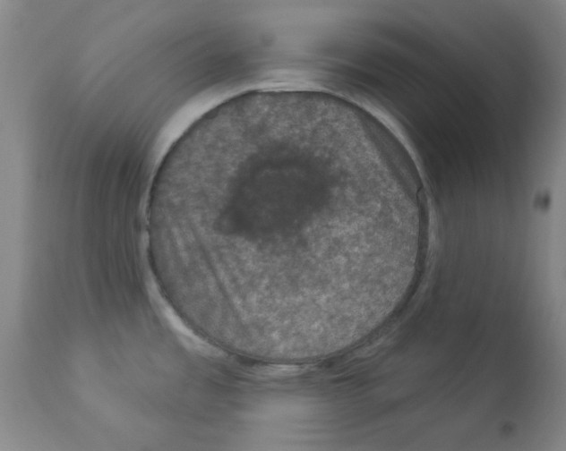 X0000112861485200909181748