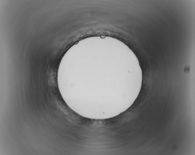 X0000112861490200909181747