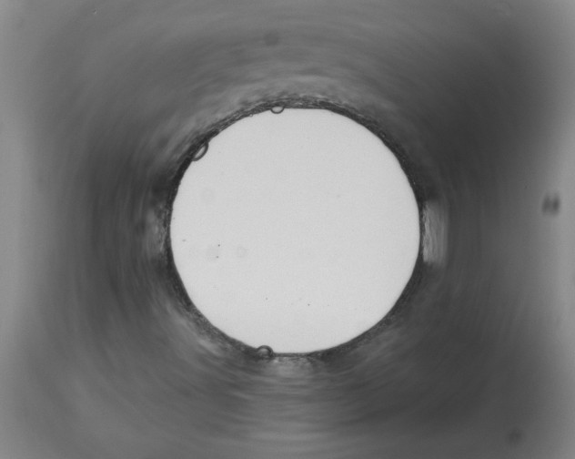 X0000112861491200909181747