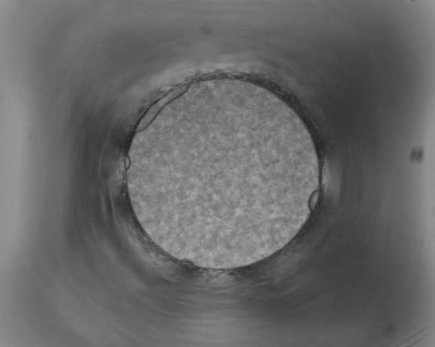 X0000112861492200909181747