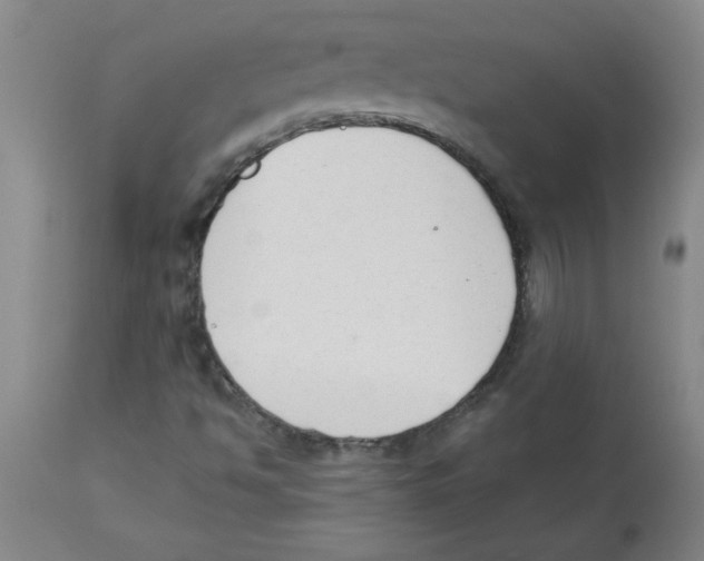 X0000112861494200909181747