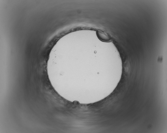 X0000112861495200909181747