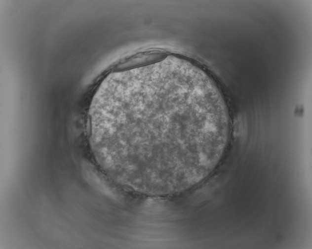 X0000112861496200909181747