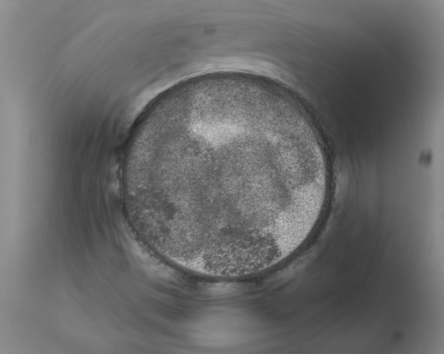 X0000112861497200909181747