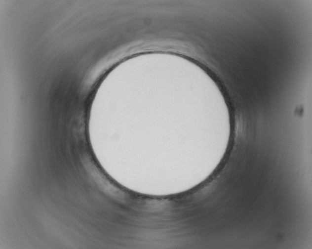 X0000112861498200909181747