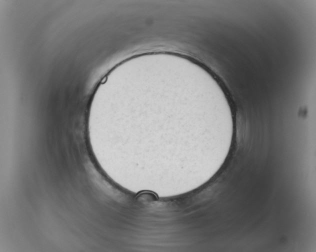 X0000112861500200909181747