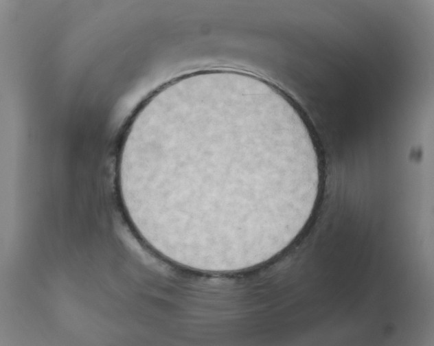 X0000112861503200909181748