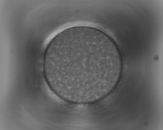 X0000112861504200909181748